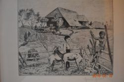 Hof mit Kindern und Ziegen