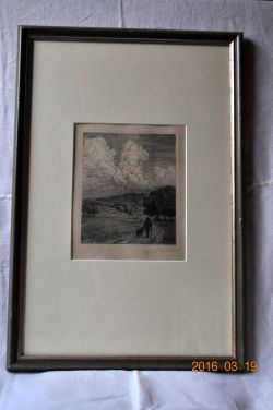 Schwarzwaldlandschaft mit Wanderer und Hund