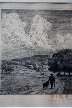 Schwarzwaldlandschaft mit Wanderer und Hund