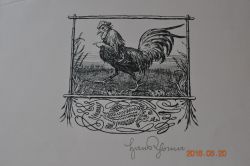 „Der eitle Hahn“